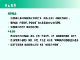 人教鄂教版（2025）小学科学三年级上册1.3 指南针 课件