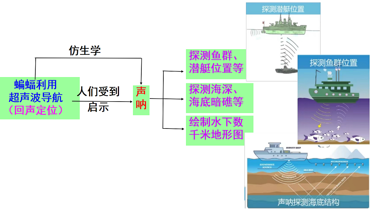 17287547第7页