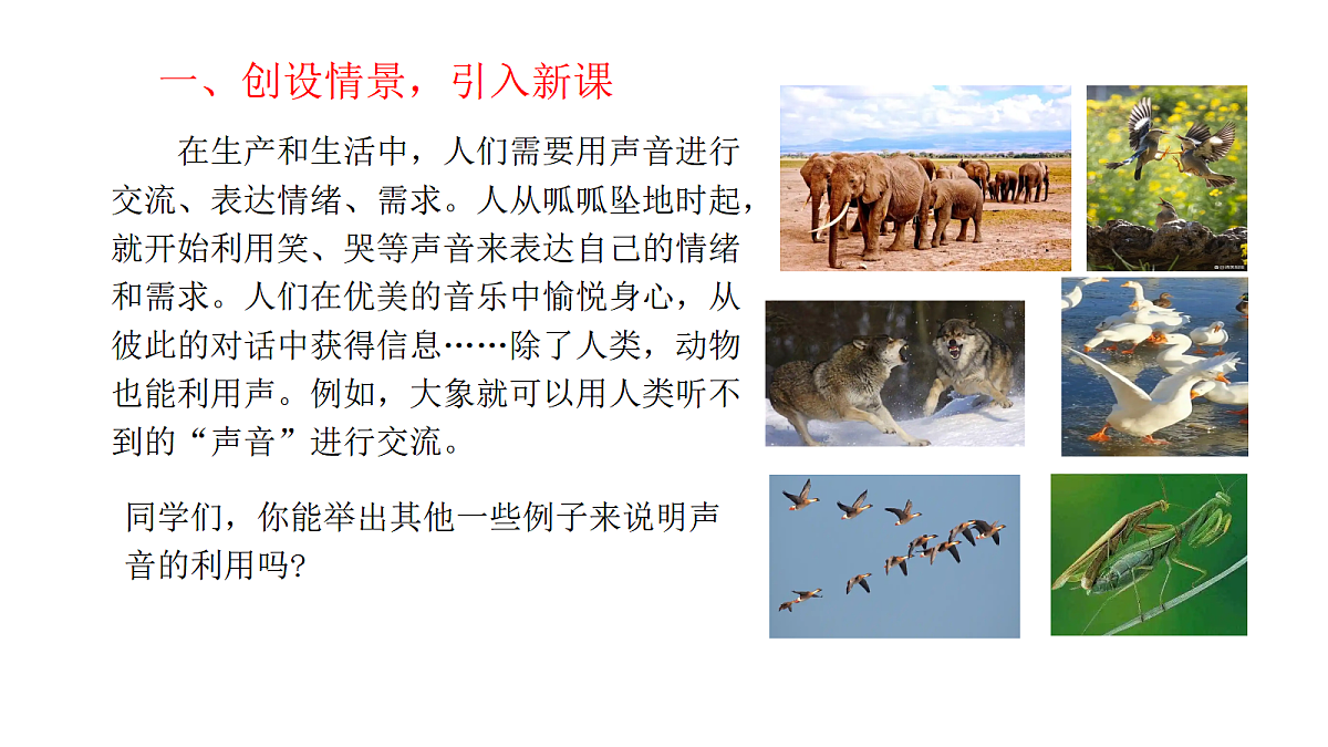 17287816第3页
