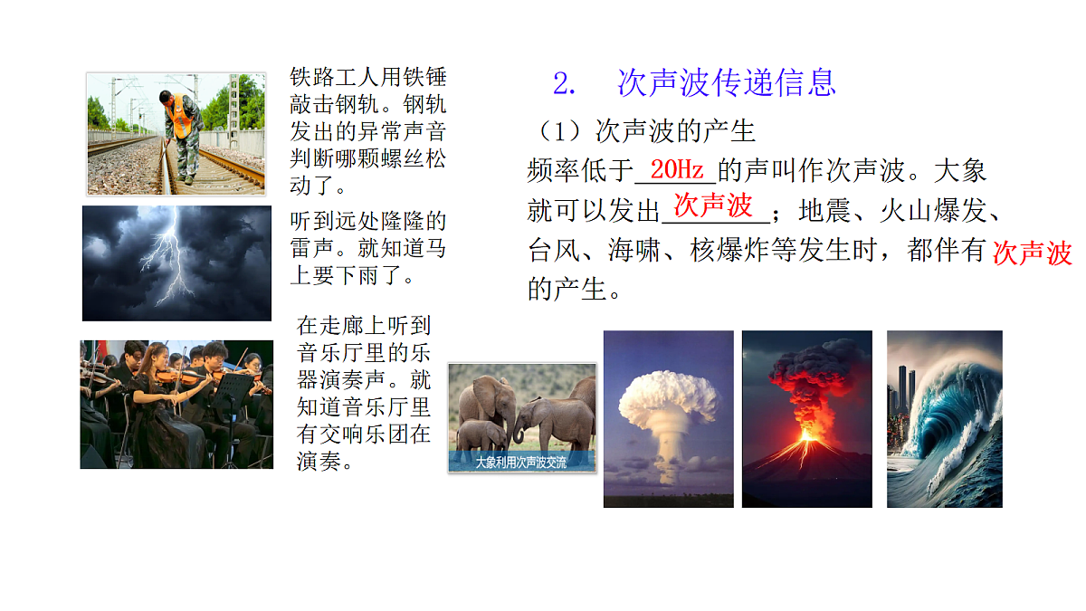 17287816第5页