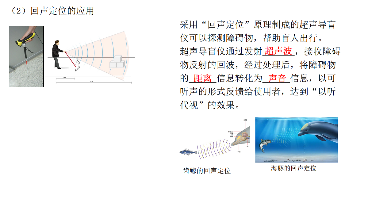 17287816第7页