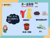 人教人鄂版小学科学二年级上册 第一单元 1.1《养植物》课件