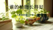 小学科学人教鄂教版（2024）二年级上册（2024）2.  谁的植物长得好优秀课件ppt