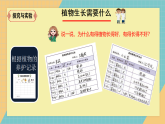 人教人鄂版小学科学二年级上册 第一单元 1.2《谁的植物长得好》课件