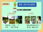 人教人鄂版小学科学二年级上册 第一单元 1.3《土壤中的动植物》课件