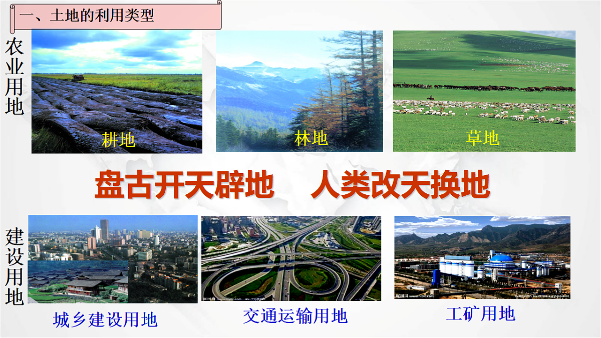 17288162第4页