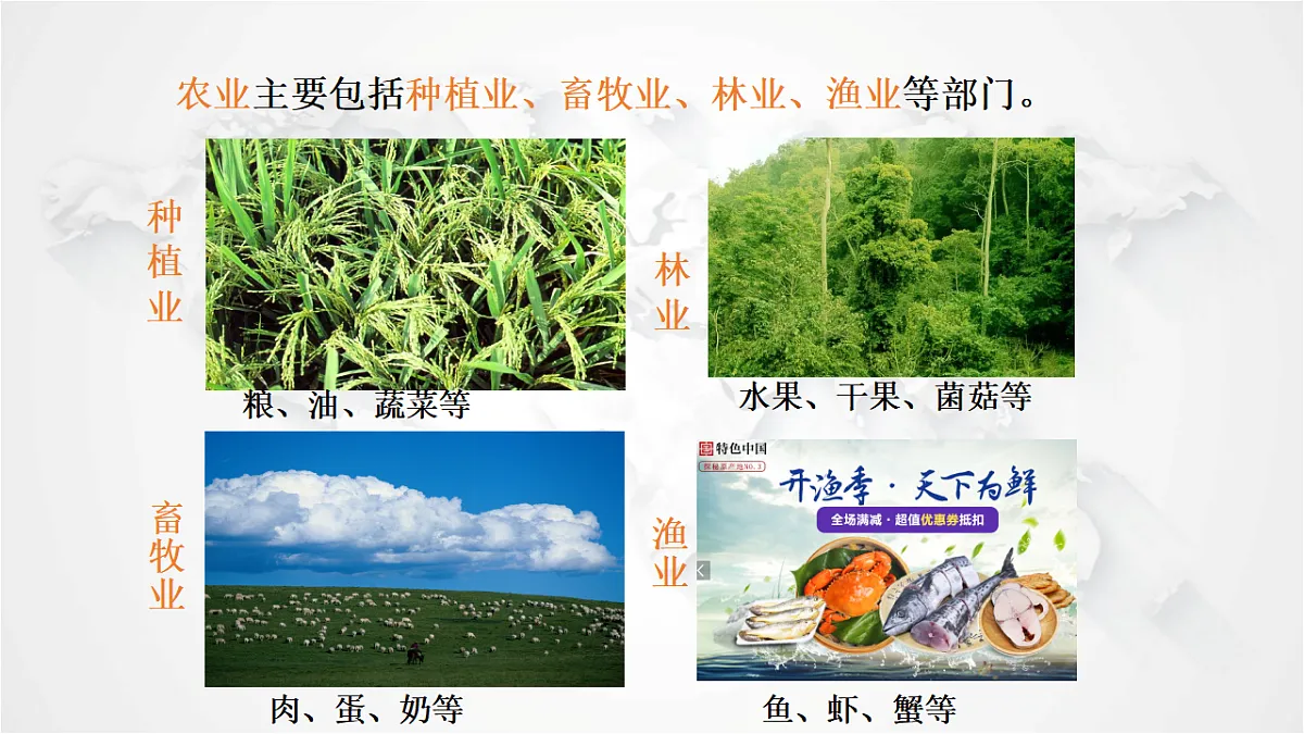 17288167第4页