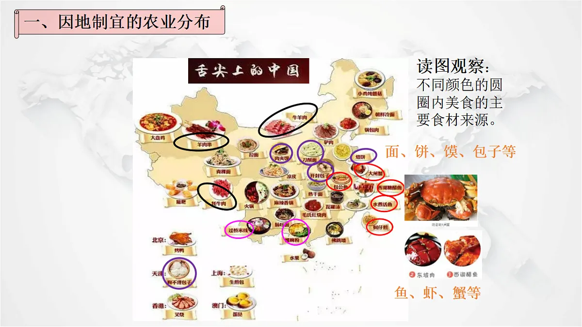17288167第5页