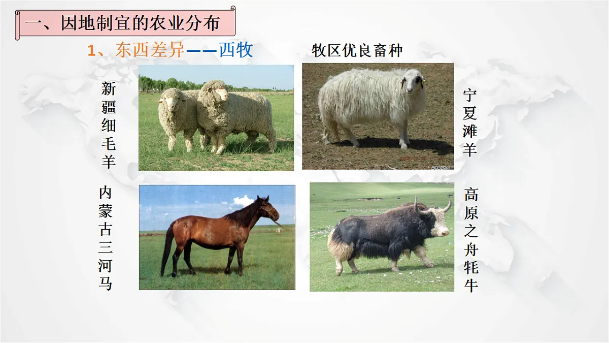 17288167第7页