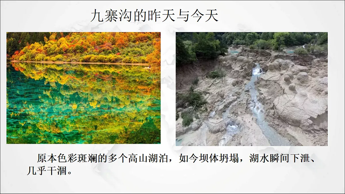 17288171第2页