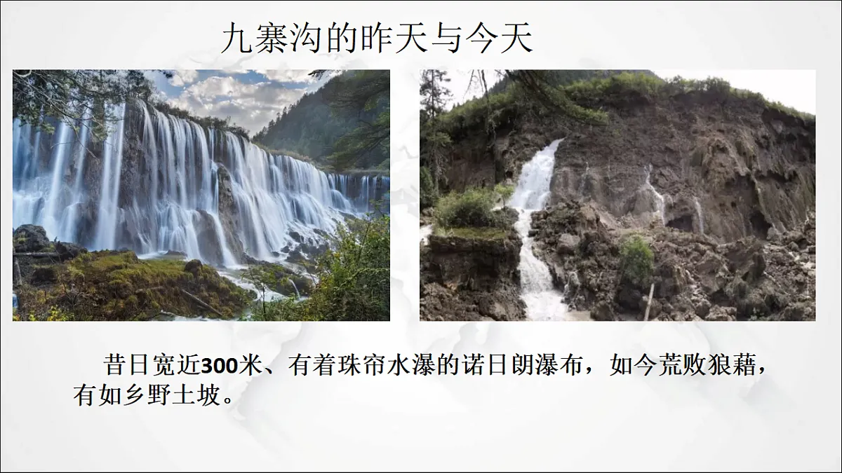 17288171第3页