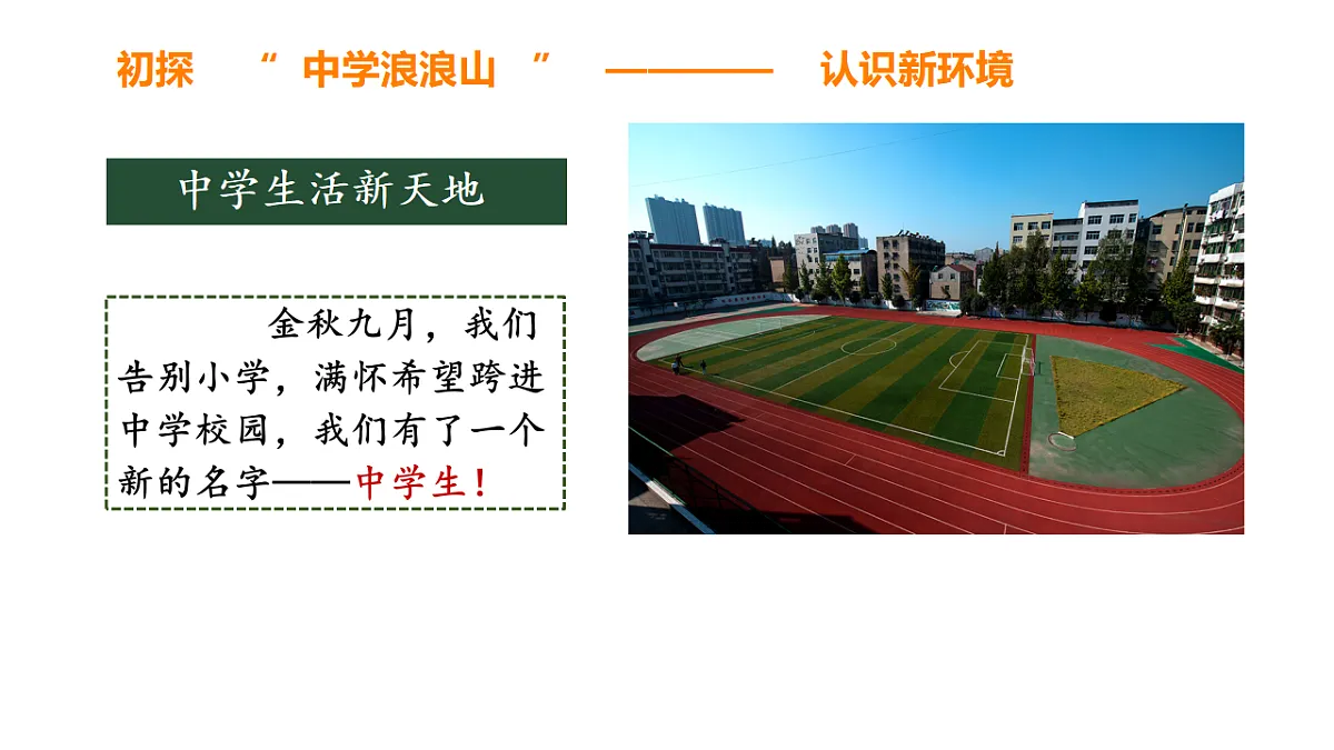 17288738第5页