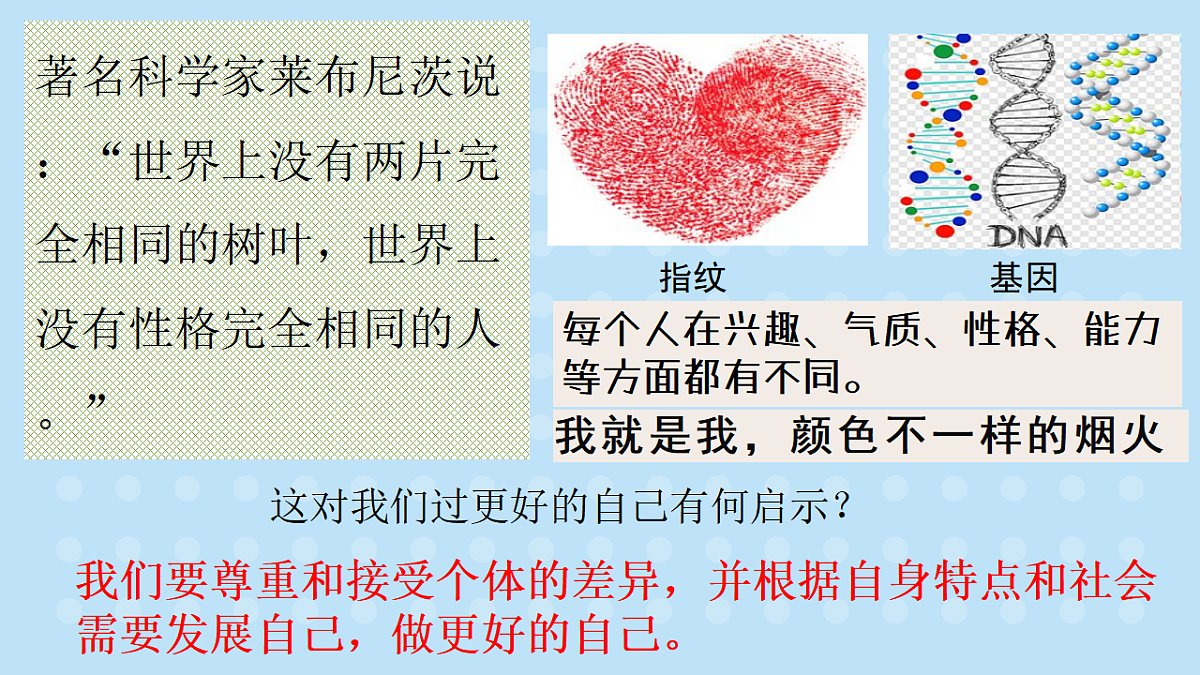17288767第4页