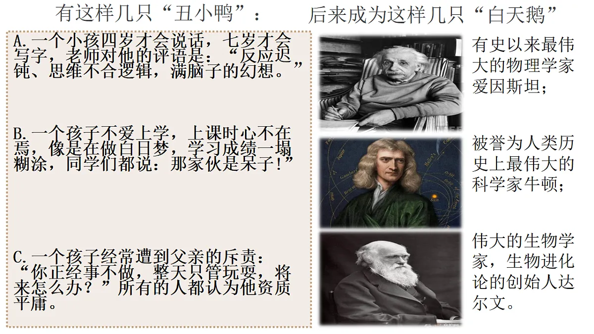 17288767第6页