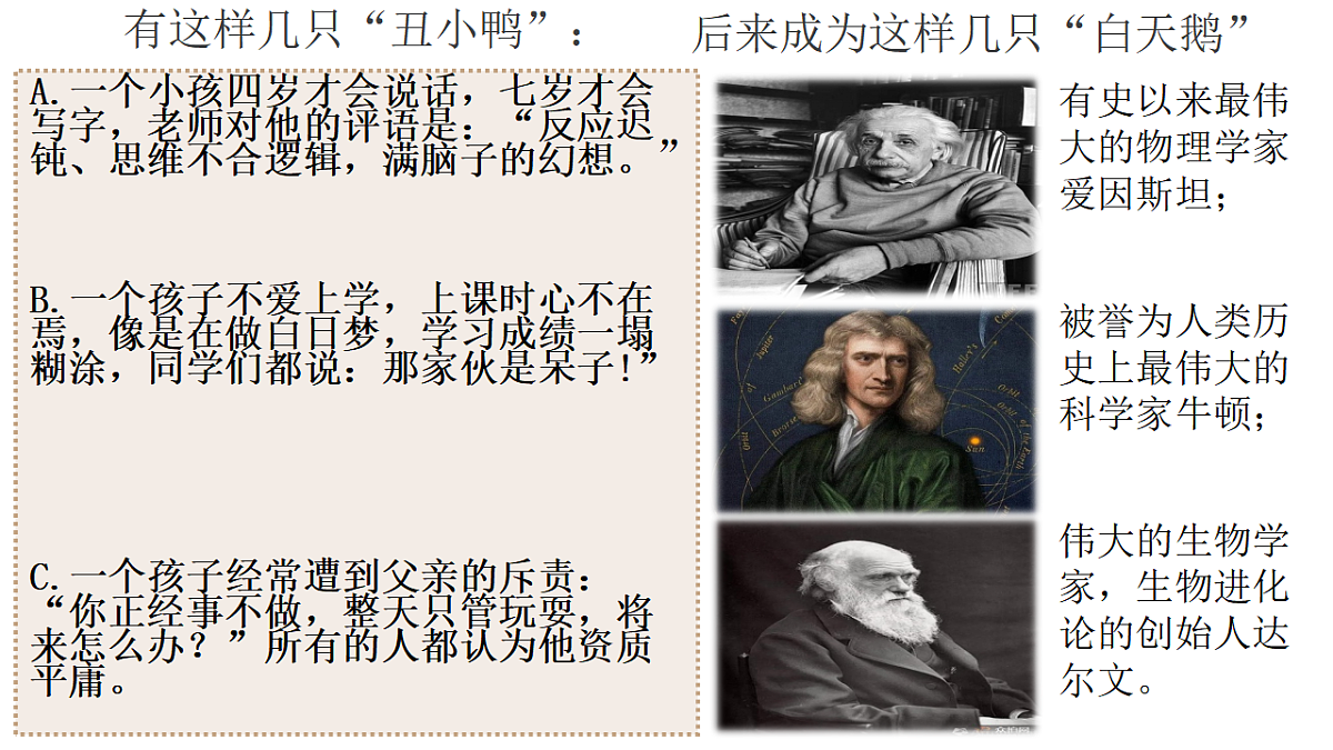 17288767第6页