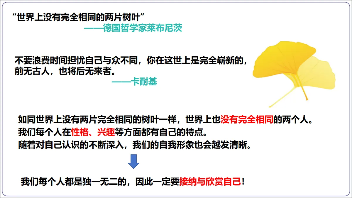 17288768第5页