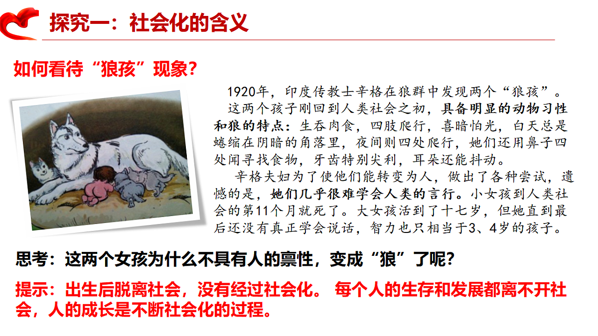 17288773第8页