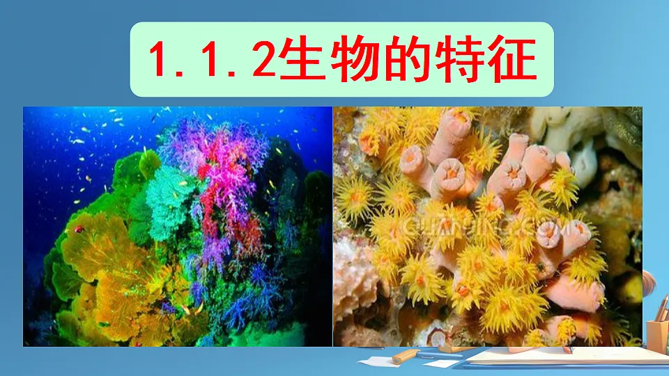 17288789第1页