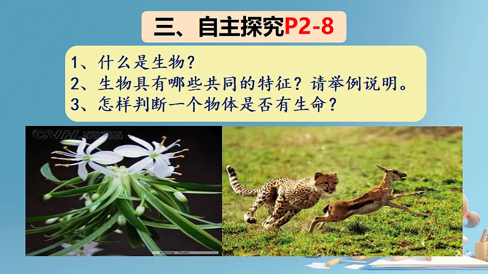 17288789第4页