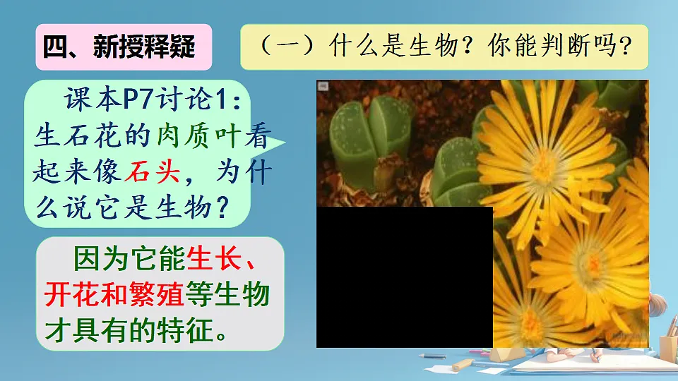 17288789第5页