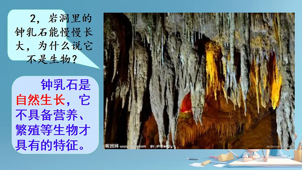 17288789第6页