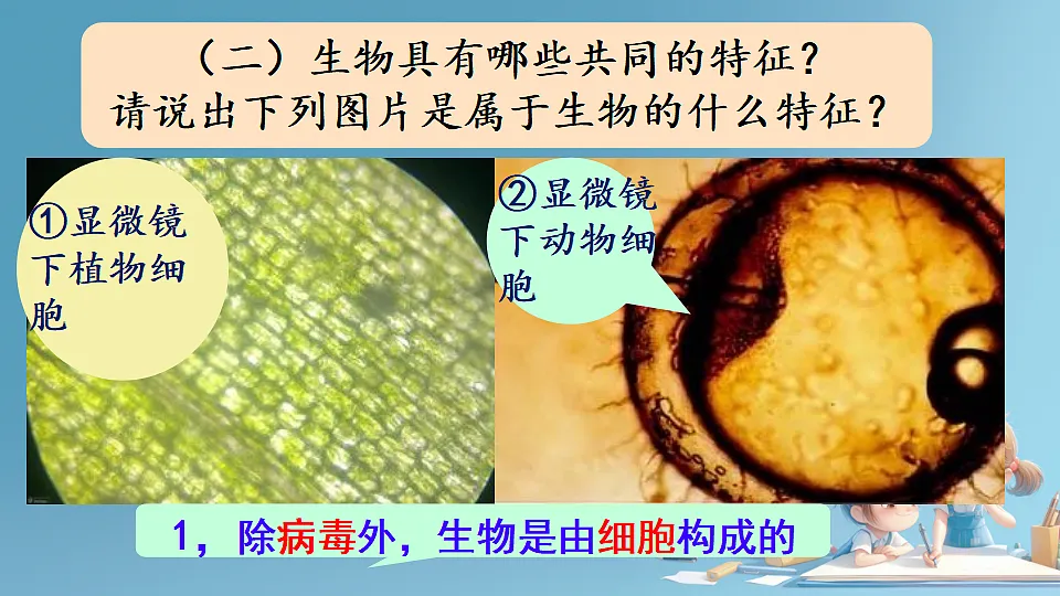 17288789第7页