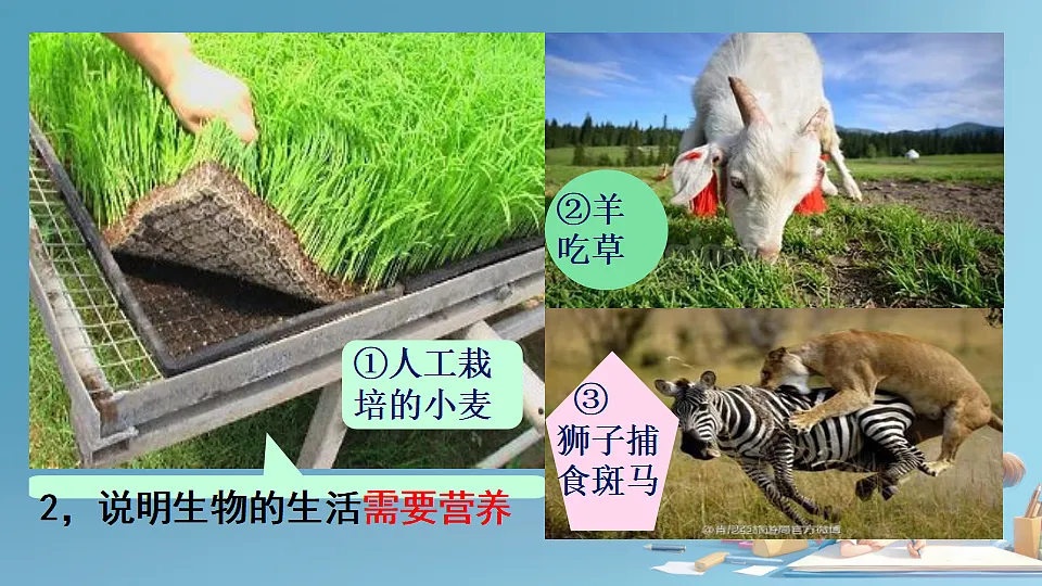 17288789第8页