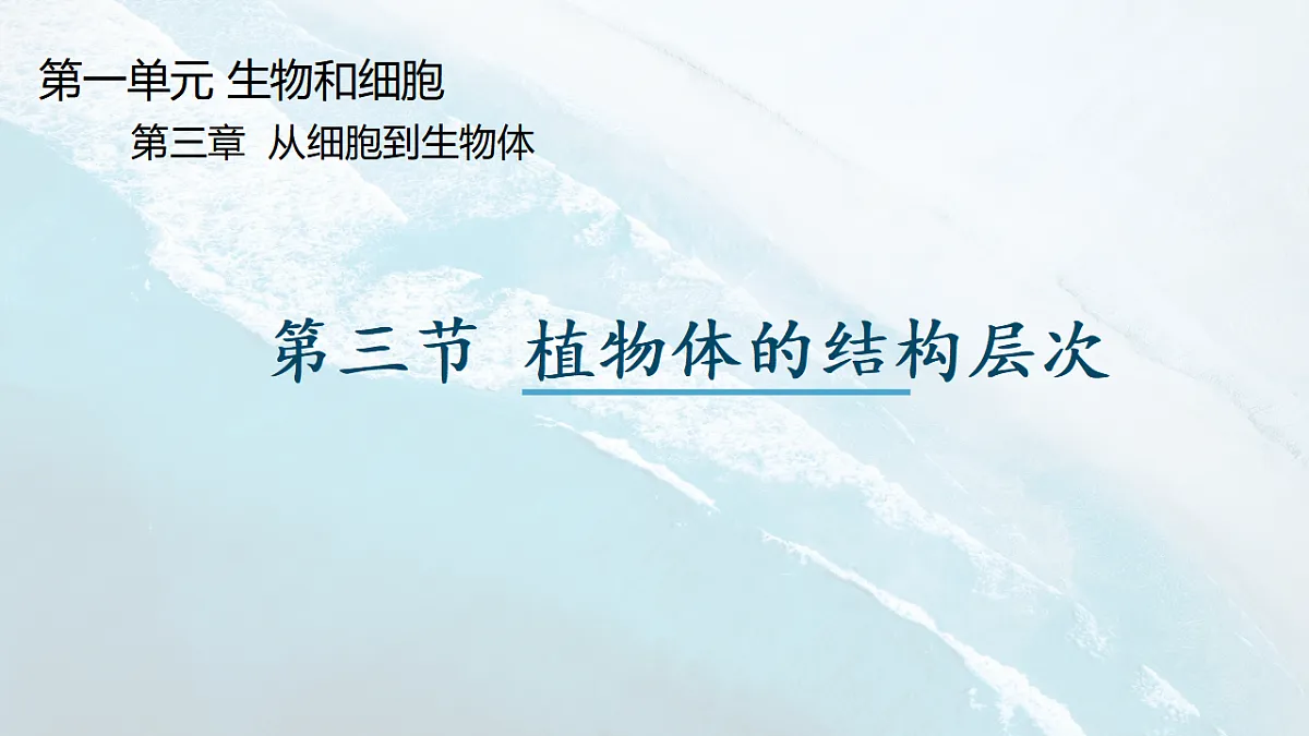 17288790第1页