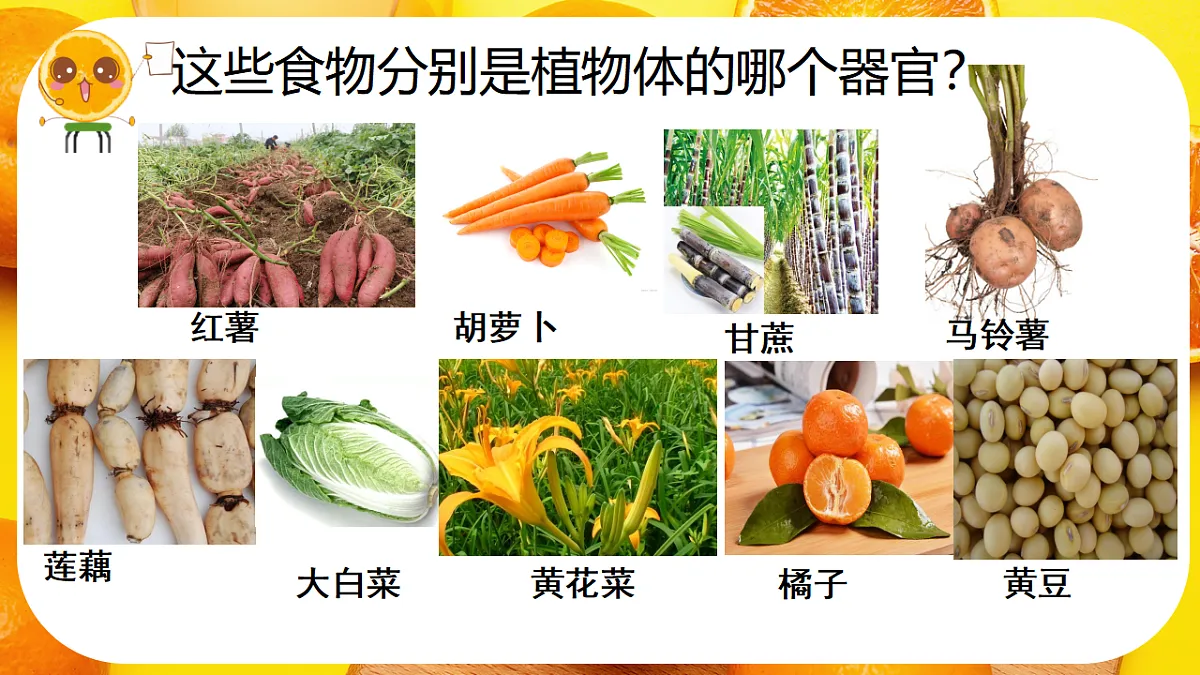 17288790第2页