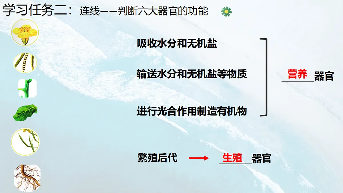 17288790第4页