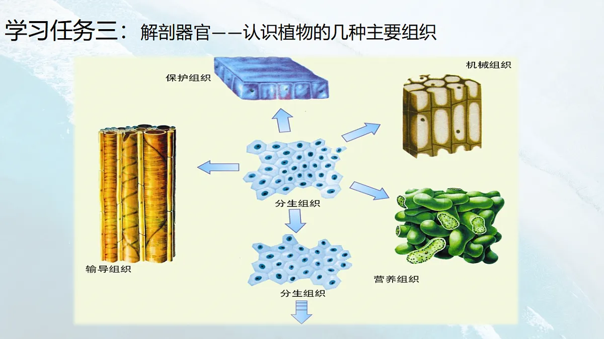 17288790第5页