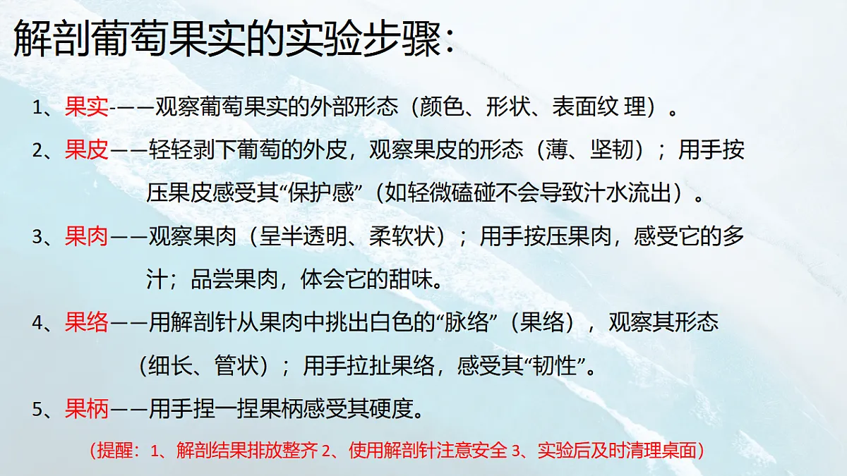 17288790第6页