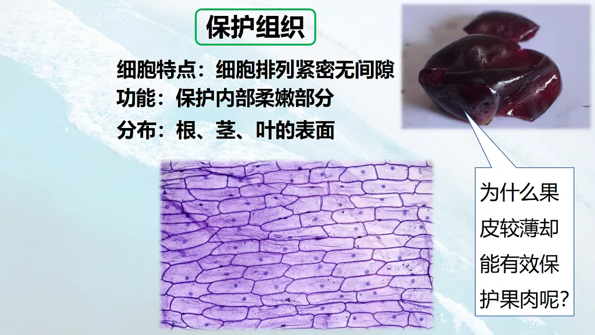 17288790第7页