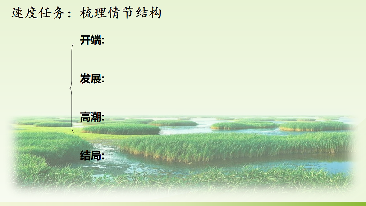 17289142第7页