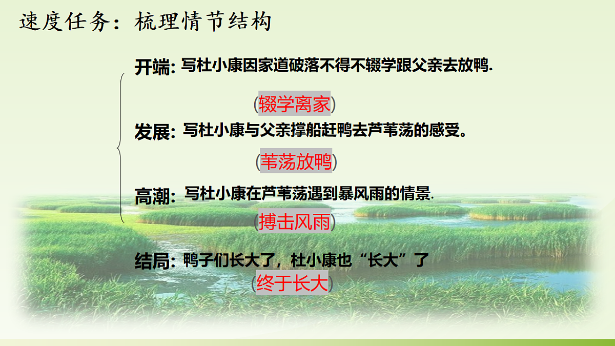17289142第8页