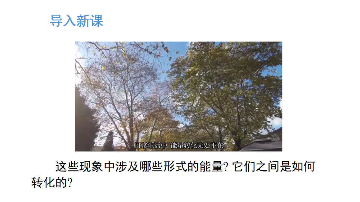 17290092第5页