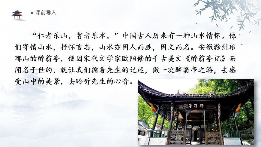 17290649第5页