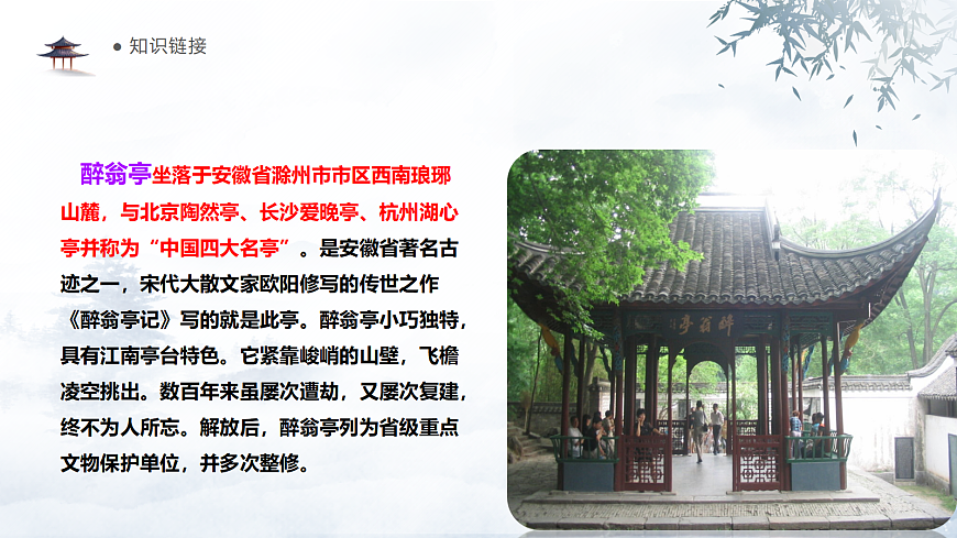 17290649第8页
