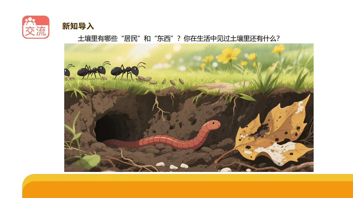 17290778第2页