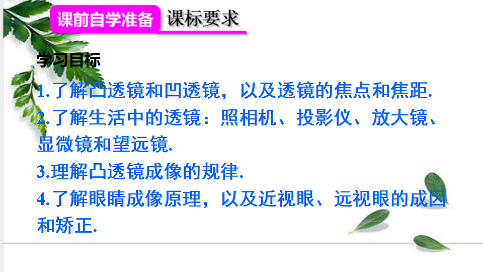 17291282第2页