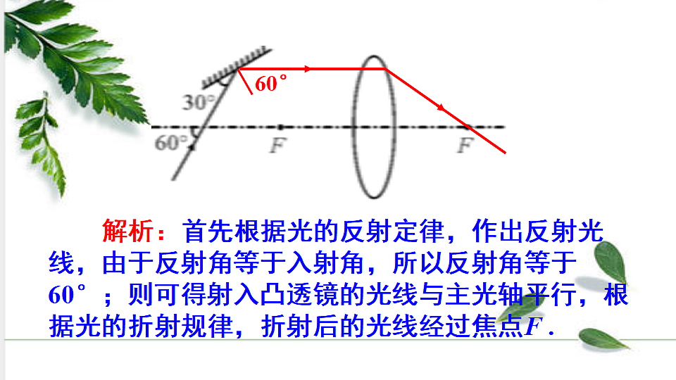 17291282第5页
