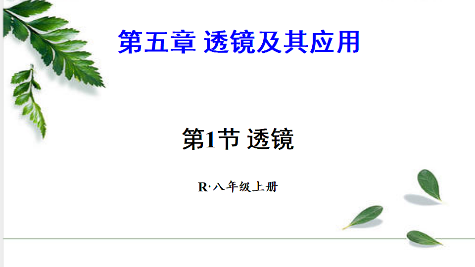 17291319第1页