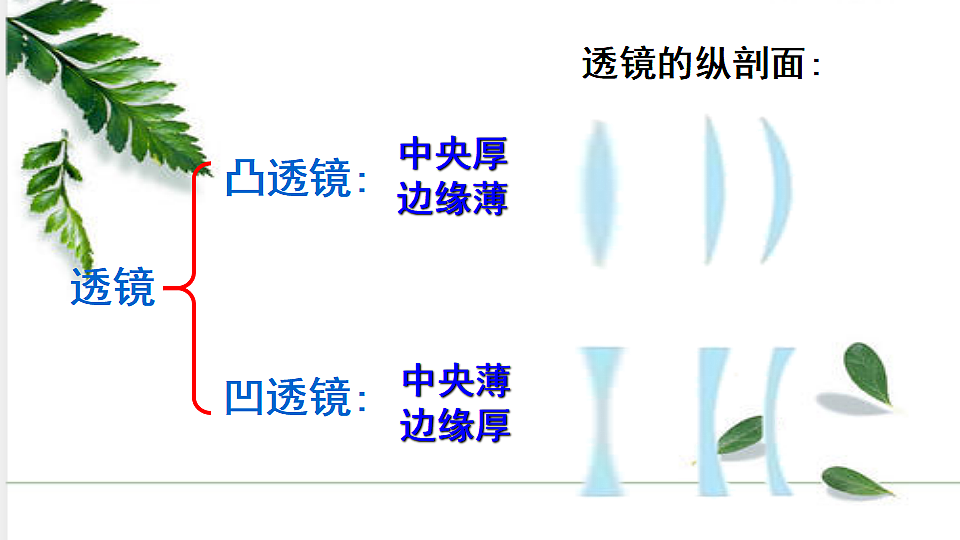 17291319第8页