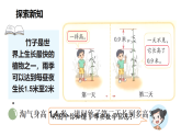 7.5 竹子的生长（课件）2025-2026学年北师大三年级数学上册