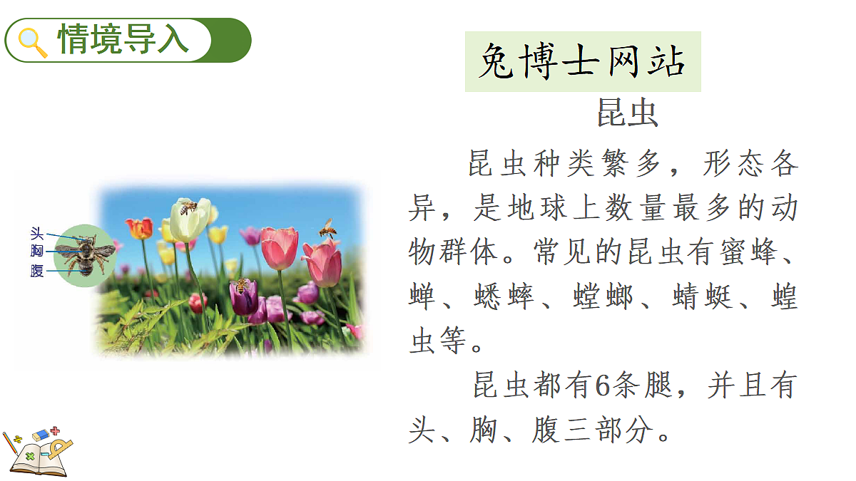 17292184第2页