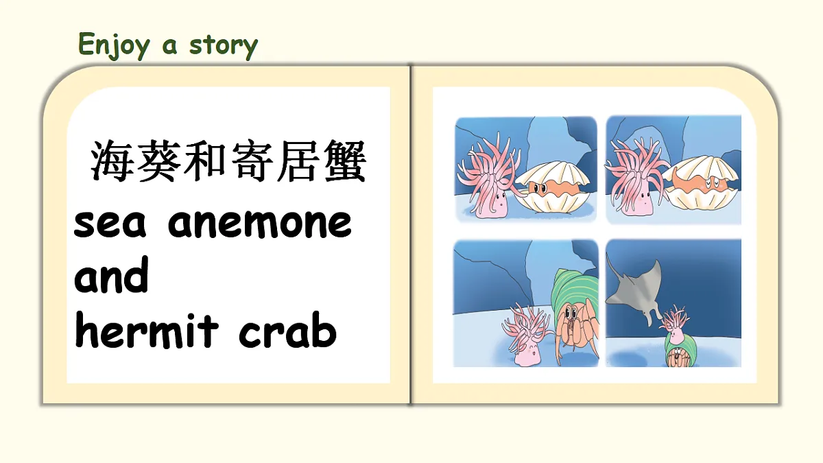 17292199第5页