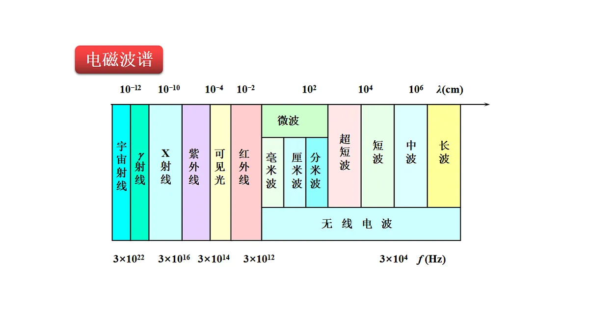 17292303第7页