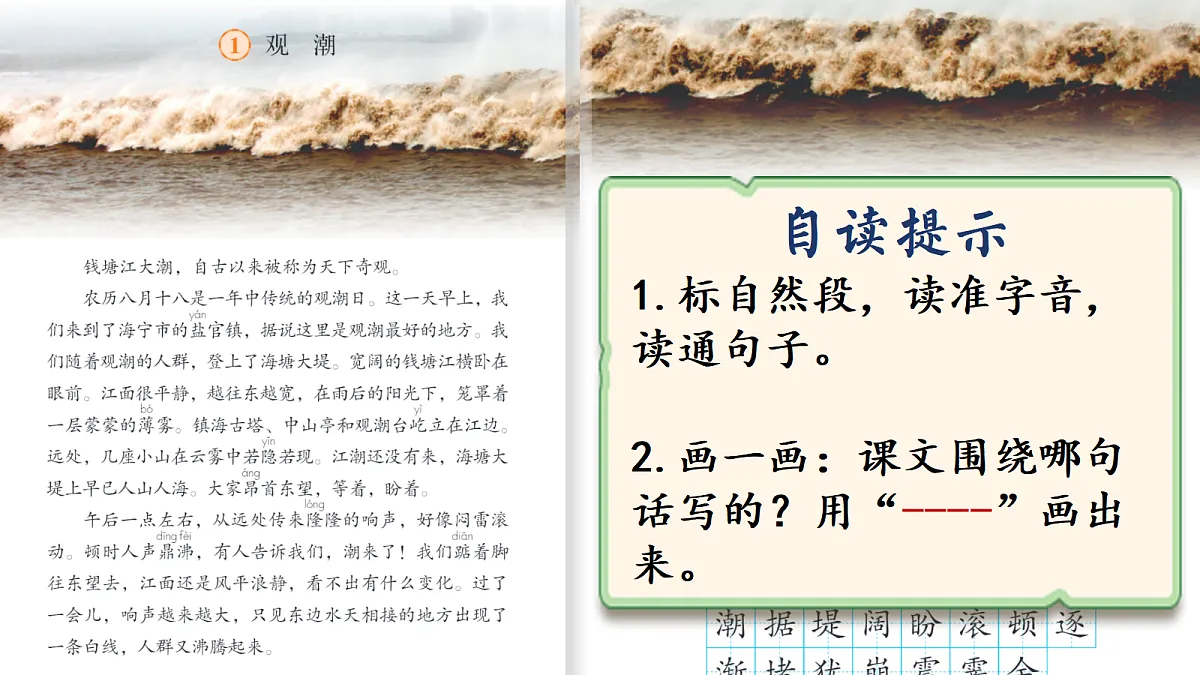 17292769第8页