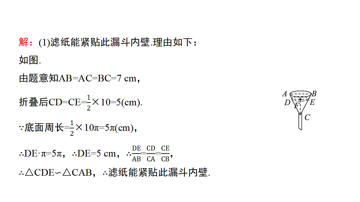 17293623第7页