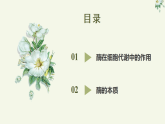 5.1.1酶的作用和本质（教学课件）——高中生物学人教版（2019）必修一